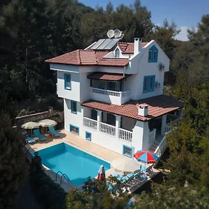 https://duman-villa.turkeyfethiyehotels.com
